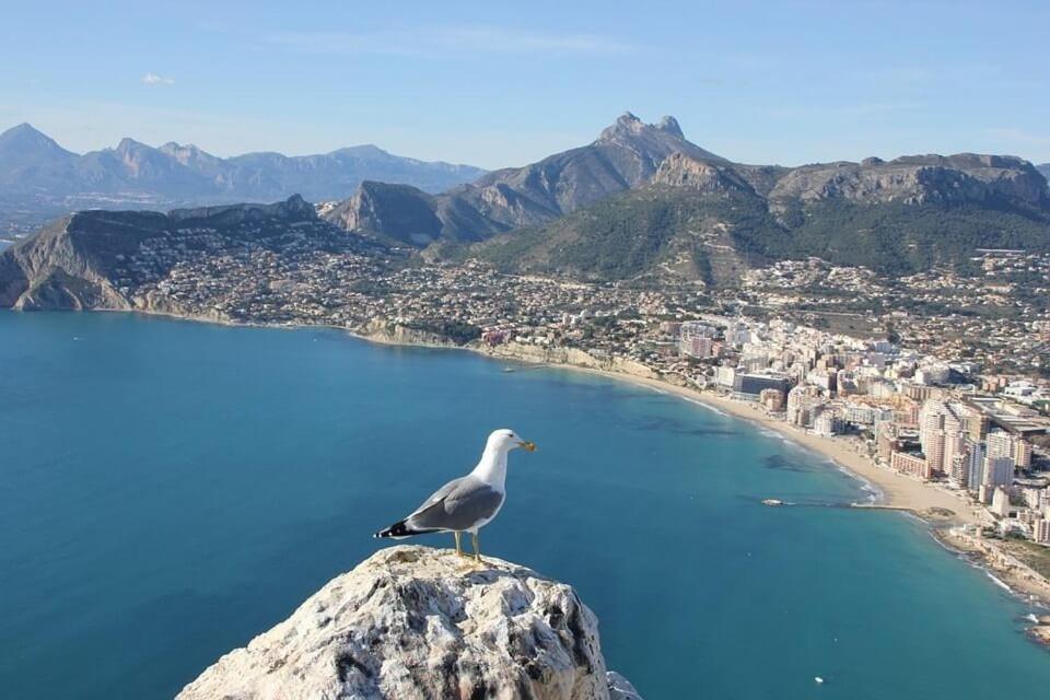 Apartamento Arenal 5 - Plusholidays Calpe Bagian luar foto